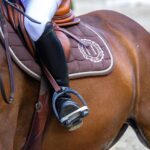 A Guide to Horse Breastplates