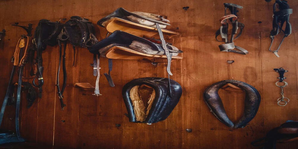 A Guide to Horse Breastplates